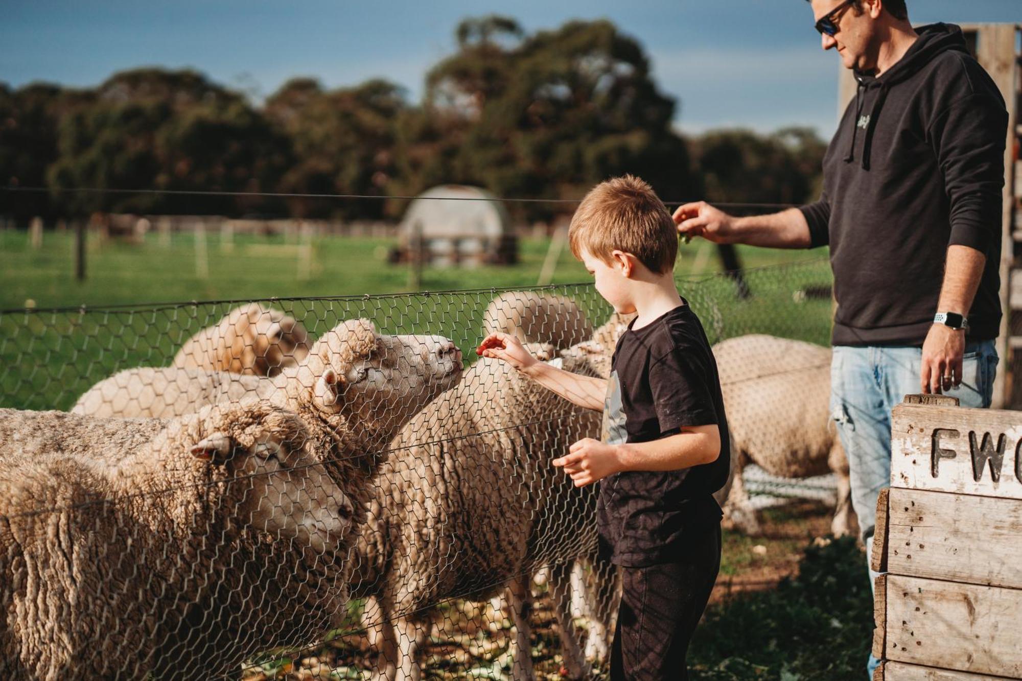 Freshwater Creek Cottages & Farm Stay Torquay Exteriér fotografie