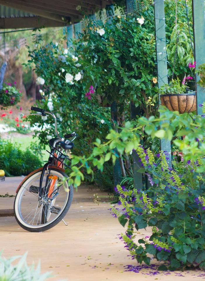 Freshwater Creek Cottages & Farm Stay Torquay Exteriér fotografie