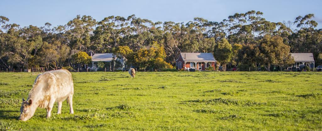 Freshwater Creek Cottages & Farm Stay Torquay Exteriér fotografie