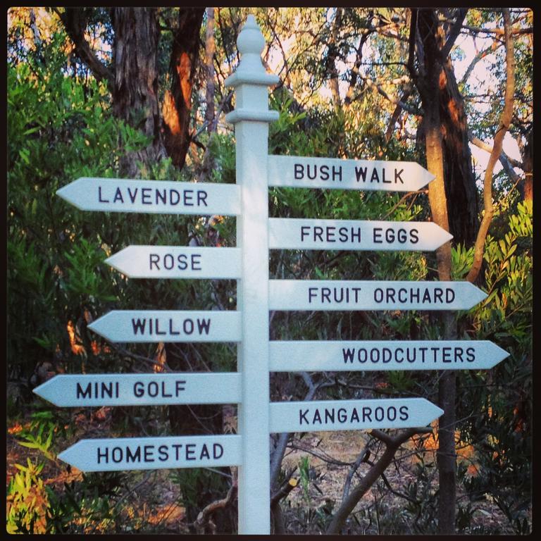 Freshwater Creek Cottages & Farm Stay Torquay Exteriér fotografie